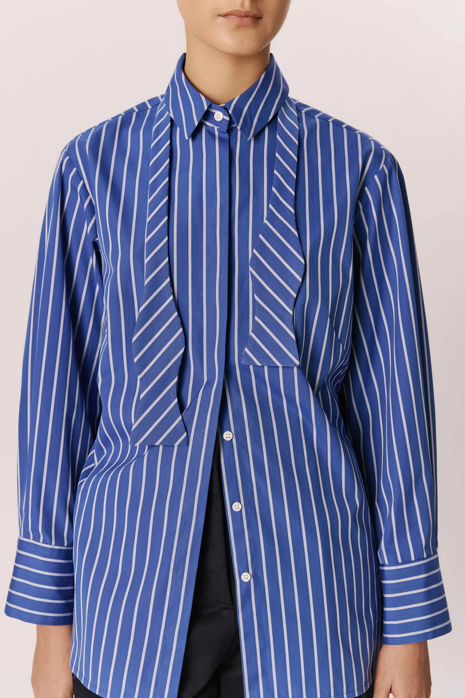007494_CAMISA_CLASSICA_GRAVATA_LISTRAAZUL_ANDREAMARQUES -5-